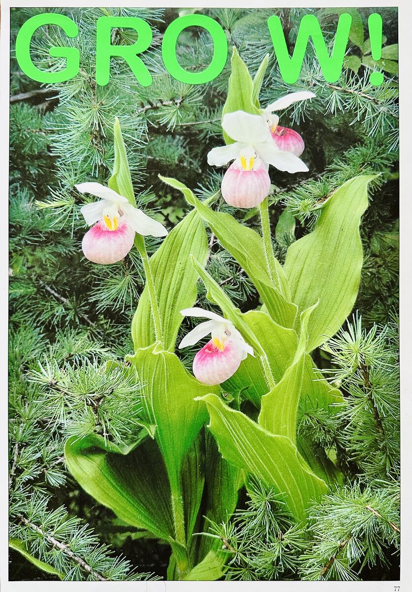 If You Want to Sing Out, Sing Out, image 5 of 9