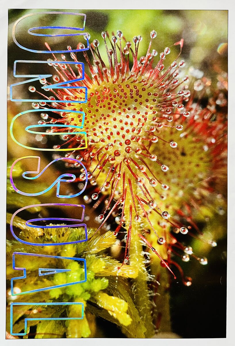 If You Want to Sing Out, Sing Out, image 9 of 9